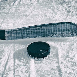 Meet your Posher, Gemma